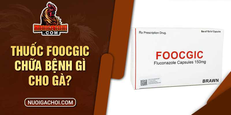 Thuốc Foocgic - Loại Thuốc Đặc Trị Các Bệnh Về Nấm Phụ Khoa 